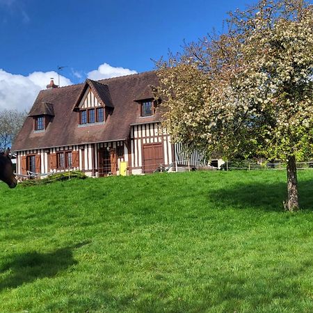 Relais Equestre Du Miloir - Chambres D'Hotes Saint-Desir Exteriér fotografie