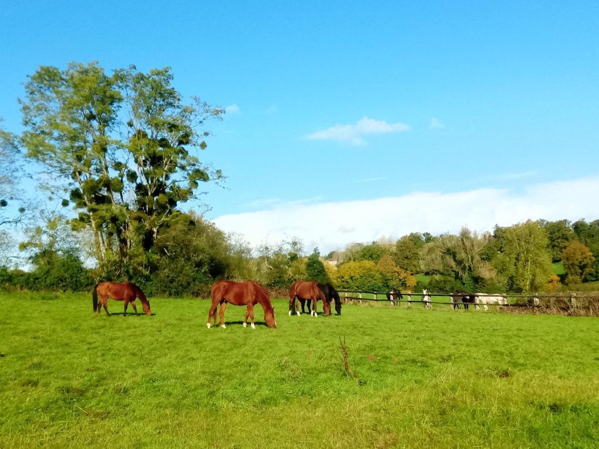 Relais Equestre Du Miloir - Chambres D'Hotes Saint-Desir Exteriér fotografie
