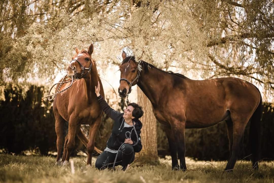 Relais Equestre Du Miloir - Chambres D'Hotes Saint-Desir Exteriér fotografie