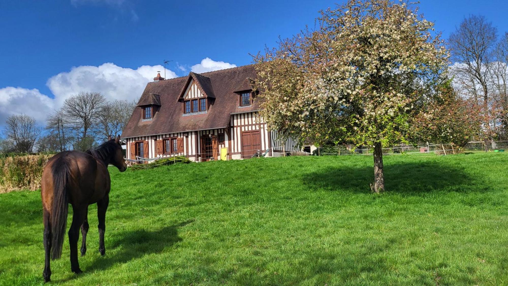 Relais Equestre Du Miloir - Chambres D'Hotes Saint-Desir Exteriér fotografie